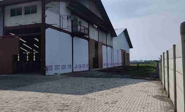 Dijual Ex Pabrik Springbed