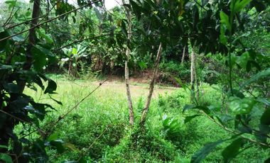 Land for sale, ready for construction, Main Road, Rangkasbitung, Banten