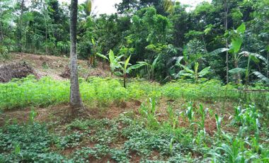 Land for sale, ready for construction, Main Road, Rangkasbitung, Banten