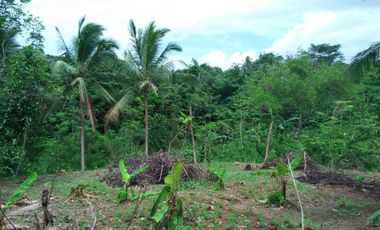 Land for sale, ready for construction, Main Road, Rangkasbitung, Banten