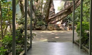 (Cco) Loft Triumph Tower 2 $1,600,000