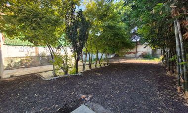 Local Comercial en renta, Barrio San Diego Xochimilco