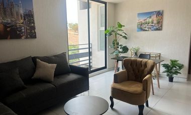 DEPARTAMENTO EN RENTA EN QUINTA CANTERA