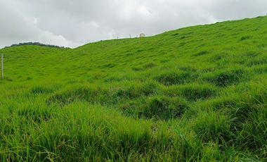 ¡ FINCA IDEAL PARA INVERTIR ! 5 CUADRAS EN LA UNION