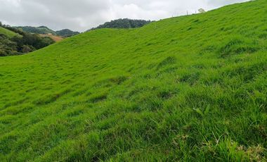 ¡ FINCA IDEAL PARA INVERTIR ! 5 CUADRAS EN LA UNION