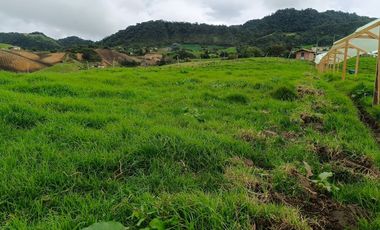 ¡ FINCA IDEAL PARA INVERTIR ! 5 CUADRAS EN LA UNION