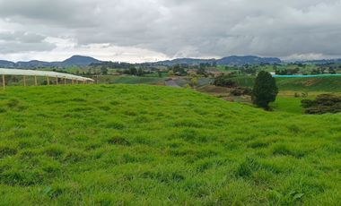 ¡ FINCA IDEAL PARA INVERTIR ! 5 CUADRAS EN LA UNION