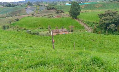 ¡ FINCA IDEAL PARA INVERTIR ! 5 CUADRAS EN LA UNION