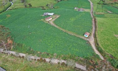 AGUA Y UBICACION PERFECTA, FINCA EN LA UNION DE 7 CUADRAS