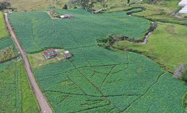 AGUA Y UBICACION PERFECTA, FINCA EN LA UNION DE 7 CUADRAS