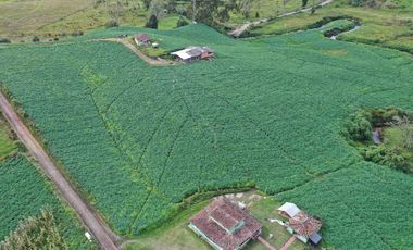 AGUA Y UBICACION PERFECTA, FINCA EN LA UNION DE 7 CUADRAS