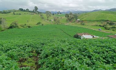 AGUA Y UBICACION PERFECTA, FINCA EN LA UNION DE 7 CUADRAS
