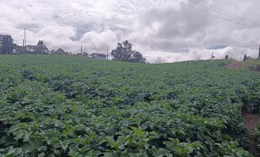 AGUA Y UBICACION PERFECTA, FINCA EN LA UNION DE 7 CUADRAS