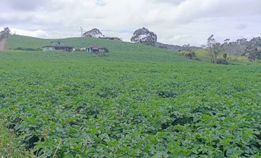 AGUA Y UBICACION PERFECTA, FINCA EN LA UNION DE 7 CUADRAS