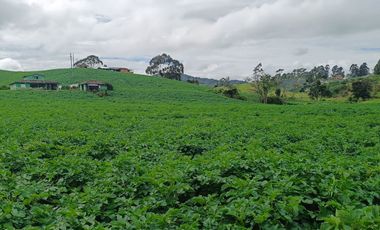 AGUA Y UBICACION PERFECTA, FINCA EN LA UNION DE 7 CUADRAS