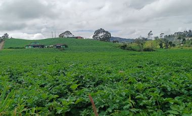 AGUA Y UBICACION PERFECTA, FINCA EN LA UNION DE 7 CUADRAS