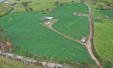 AGUA Y UBICACION PERFECTA, FINCA EN LA UNION DE 7 CUADRAS