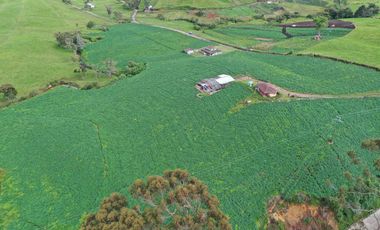 AGUA Y UBICACION PERFECTA, FINCA EN LA UNION DE 7 CUADRAS