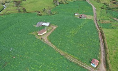 AGUA Y UBICACION PERFECTA, FINCA EN LA UNION DE 7 CUADRAS