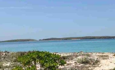 Dijual Tanah Pantai Sereweh Lombok Timur