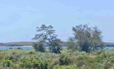 Dijual Tanah Pantai Sereweh Lombok Timur