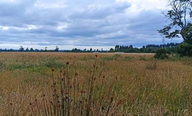 Vende Parcela en Fresia, Región de Los lagos