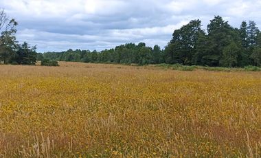 Vende Parcela en Fresia, Región de Los lagos
