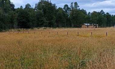 Vende Parcela en Fresia, Región de Los lagos