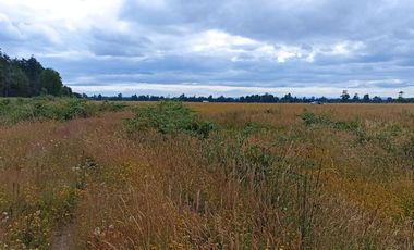 Vende Parcela en Fresia, Región de Los lagos