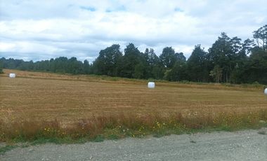 Vende Parcela en Fresia, Región de Los lagos