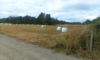 Vende Parcela en Fresia, Región de Los lagos