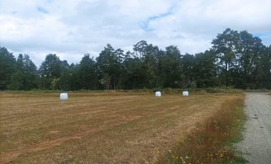 Vende Parcela en Fresia, Región de Los lagos