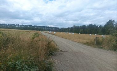 Vende Parcela en Fresia, Región de Los lagos