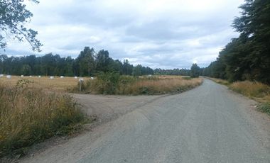 Vende Parcela en Fresia, Región de Los lagos