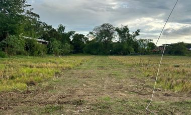 San Benito Aringay subdivision lot
