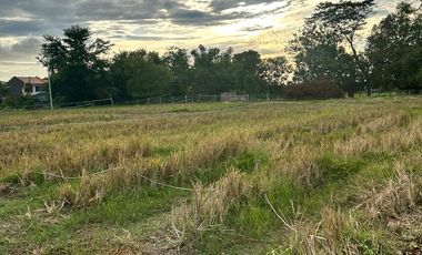 San Benito Aringay subdivision lot