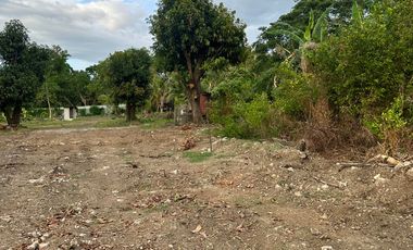 San Benito Aringay subdivision lot