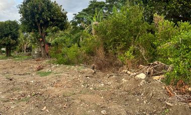 San Benito Aringay subdivision lot