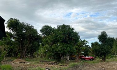 San Benito Aringay subdivision lot