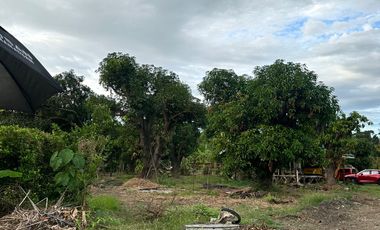 San Benito Aringay subdivision lot