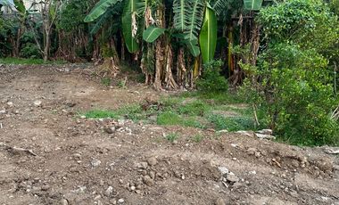 San Benito Aringay subdivision lot