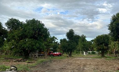 San Benito Aringay subdivision lot