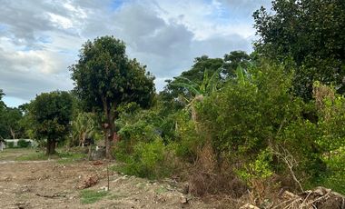 San Benito Aringay subdivision lot