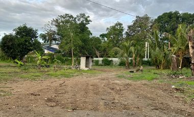 San Benito Aringay subdivision lot