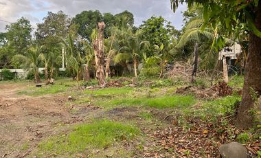 San Benito Aringay subdivision lot