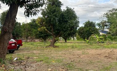 San Benito Aringay subdivision lot