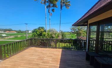 Villa murah kedungu tabanan