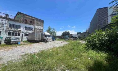 900sqm Commercial-Residential Industrial Lot at San Dionisio  Parañaque