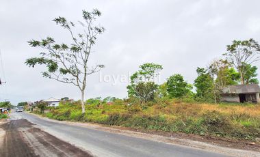 Tanah, 3.700m² Land with Strategic Location in Kintamani, Bali