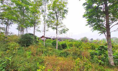 Tanah, 3.700m² Land with Strategic Location in Kintamani, Bali